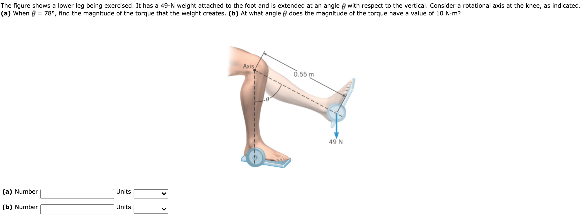 Solved The Figure Shows A Lower Leg Being Exercised It Has Chegg solved-the-figure-shows-a-lower-leg-being-exercised-it-has-chegg
