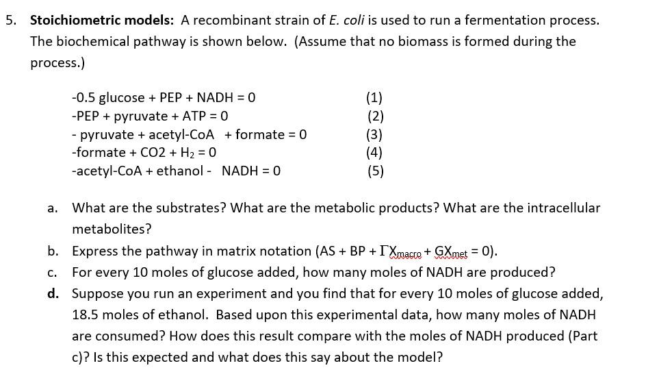Solved 5. Stoichiometric models: A recombinant strain of E. | Chegg.com