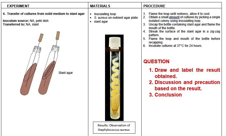 solved-experiment-materials-procedure-4-transfer-of-chegg