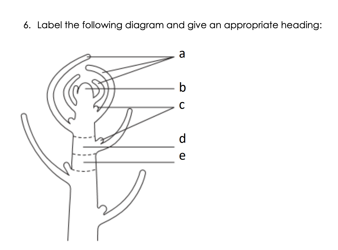 Solved 6. Label the following diagram and give an | Chegg.com