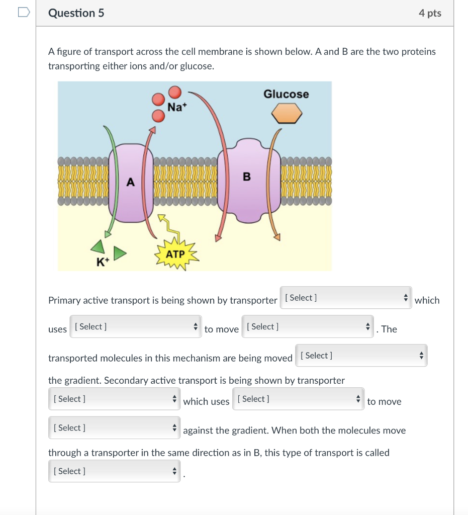 Solved Use this figure of a type of lipid to answer the | Chegg.com