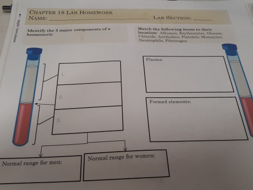 Solved CHAPTER 18 LAB HOMEWORK NAME: LAB SECTION: Identify | Chegg.com