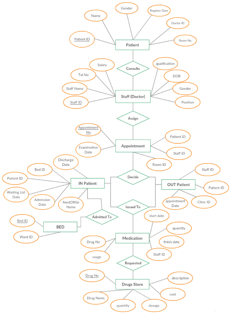 Hello this is Conceptual Entity Relationship Diagram: | Chegg.com