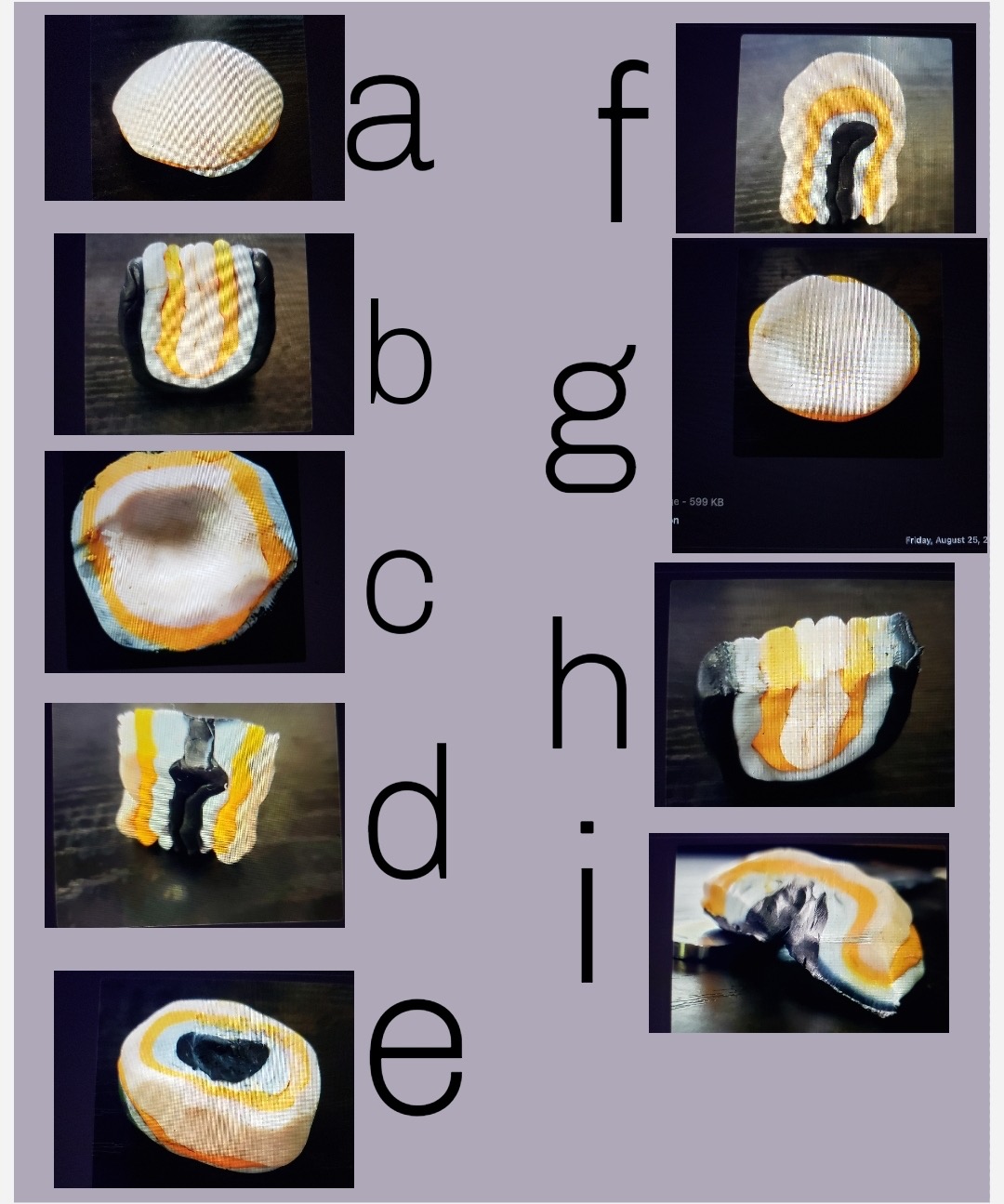 Solved Is this a dome, basin, syncline, anticline? If so is | Chegg.com