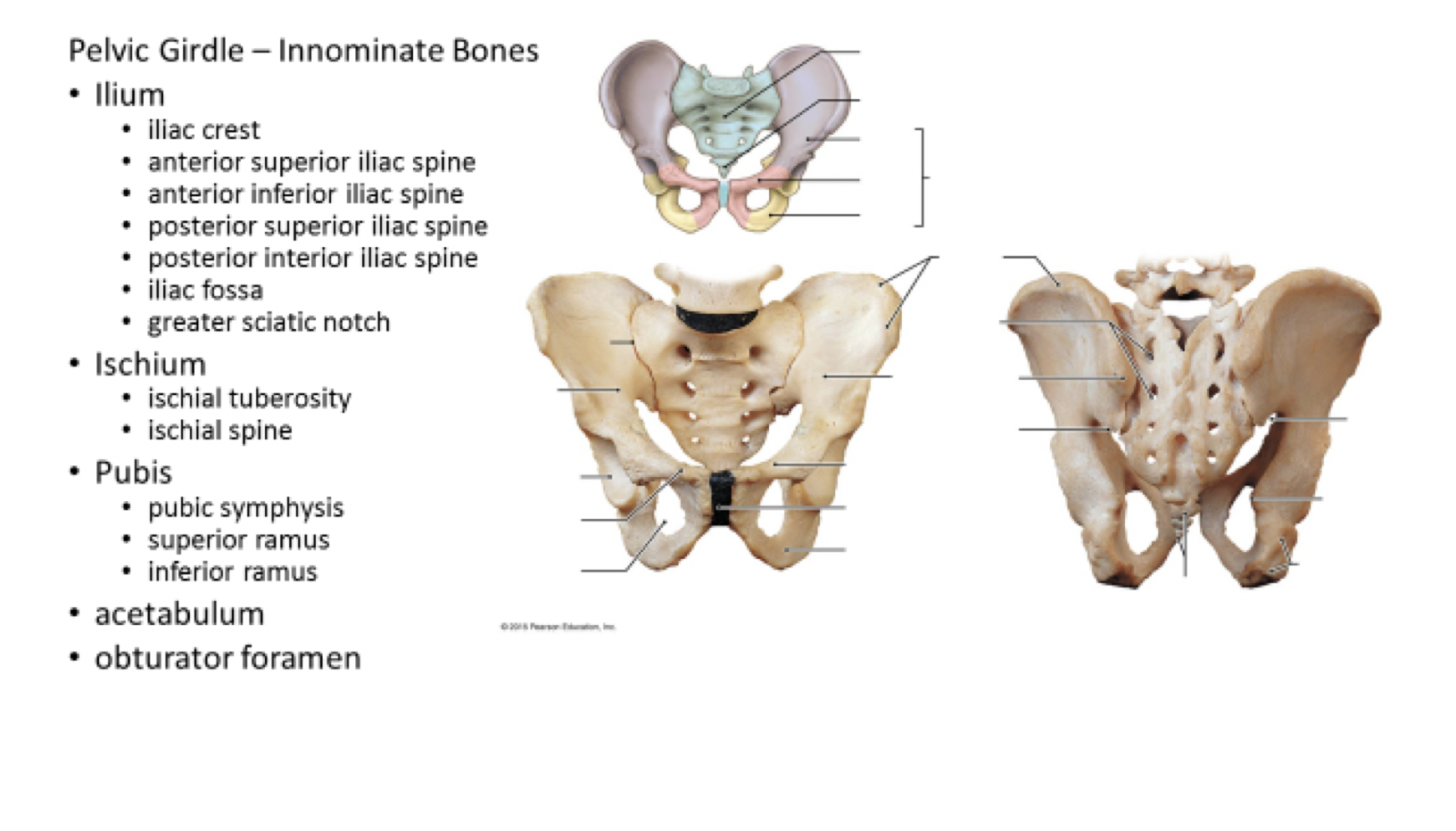 Posterior Superior Iliac Spine Location