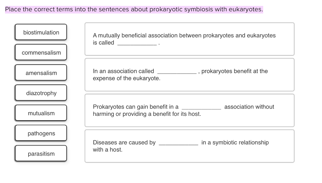 Place The Item Into The Correct Sentence About Prokaryotic Metabolisms.