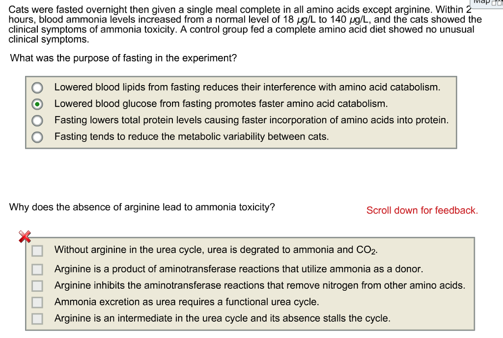 Solved Cats were fasted overnight then given a single meal