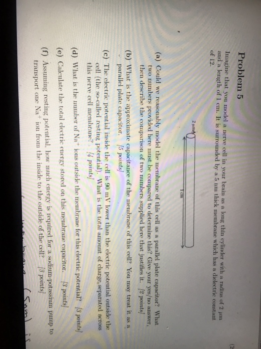 Solved Problem 5 (2 Imagine that you model a nerve cell in | Chegg.com