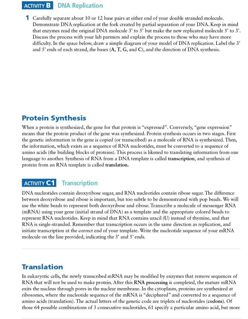 Solved LAB 6 DNA Structure and Function NA is the genetic | Chegg.com
