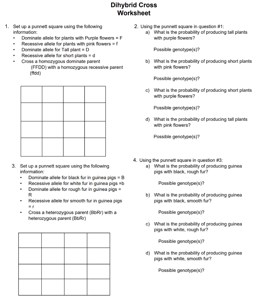 Solved Dihybrid Cross Worksheet 2. Using the punnett square | Chegg.com