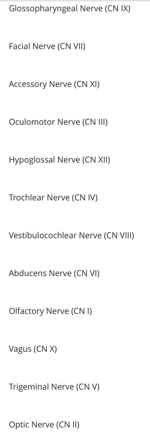 Glossopharyngeal Nerve (CN IX)
Facial Nerve (CN VII)
Accessory Nerve (CN XI)
Oculomotor Nerve (CN III)
Hypoglossal Nerve (CN 