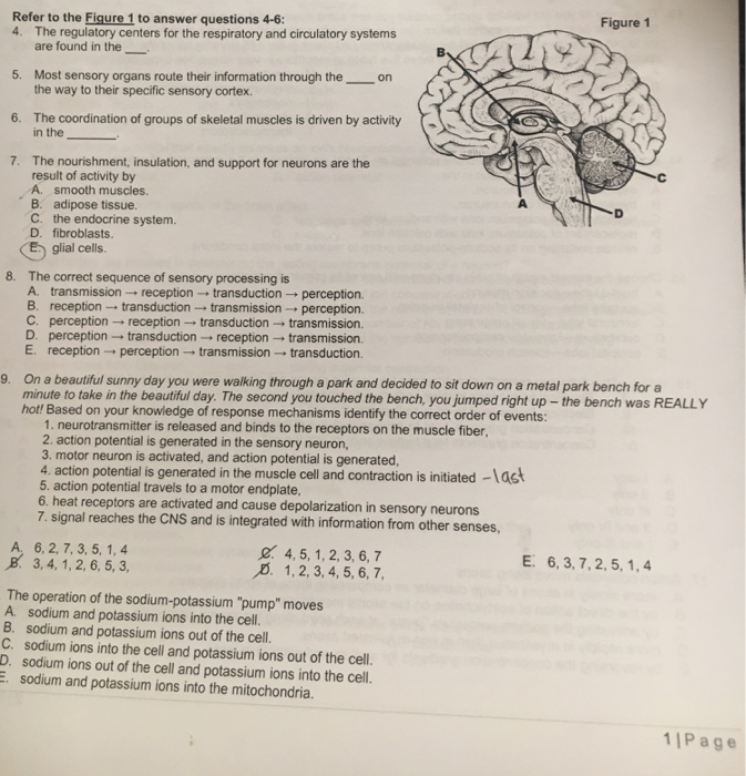 Solved Figure 1 Refer to the Figure 1 to answer questions | Chegg.com