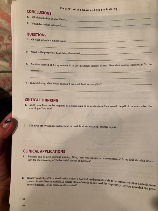 Preparation of smears and simple staining lab report deals answers