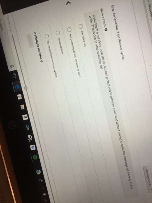 Solved Worth 2 Points。 Which one of the following is NOT a | Chegg.com