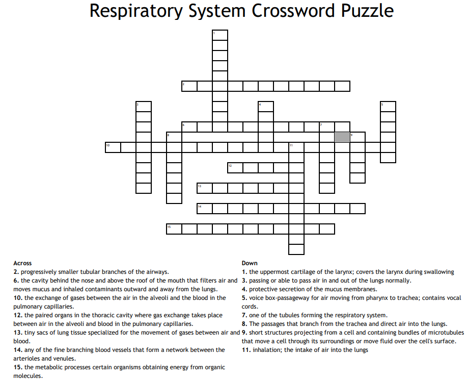 Uppermost Point Crossword