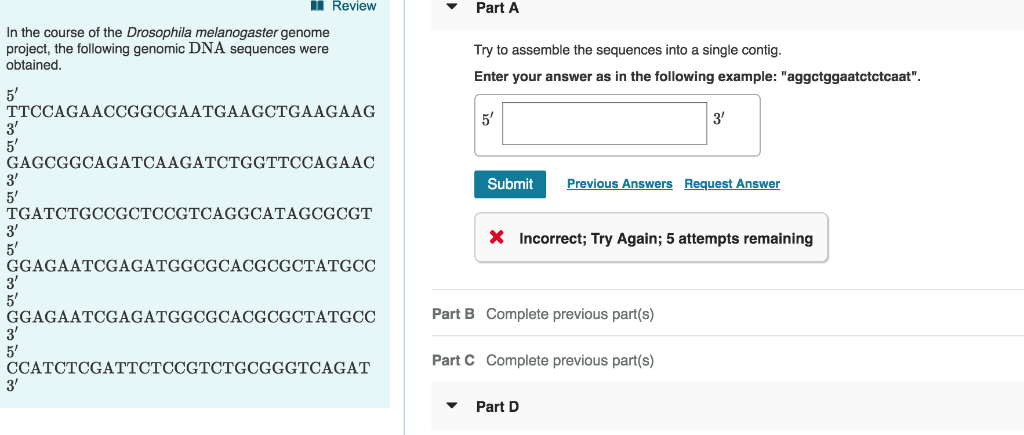 Solved Review Part A In the course of the Drosophila | Chegg.com