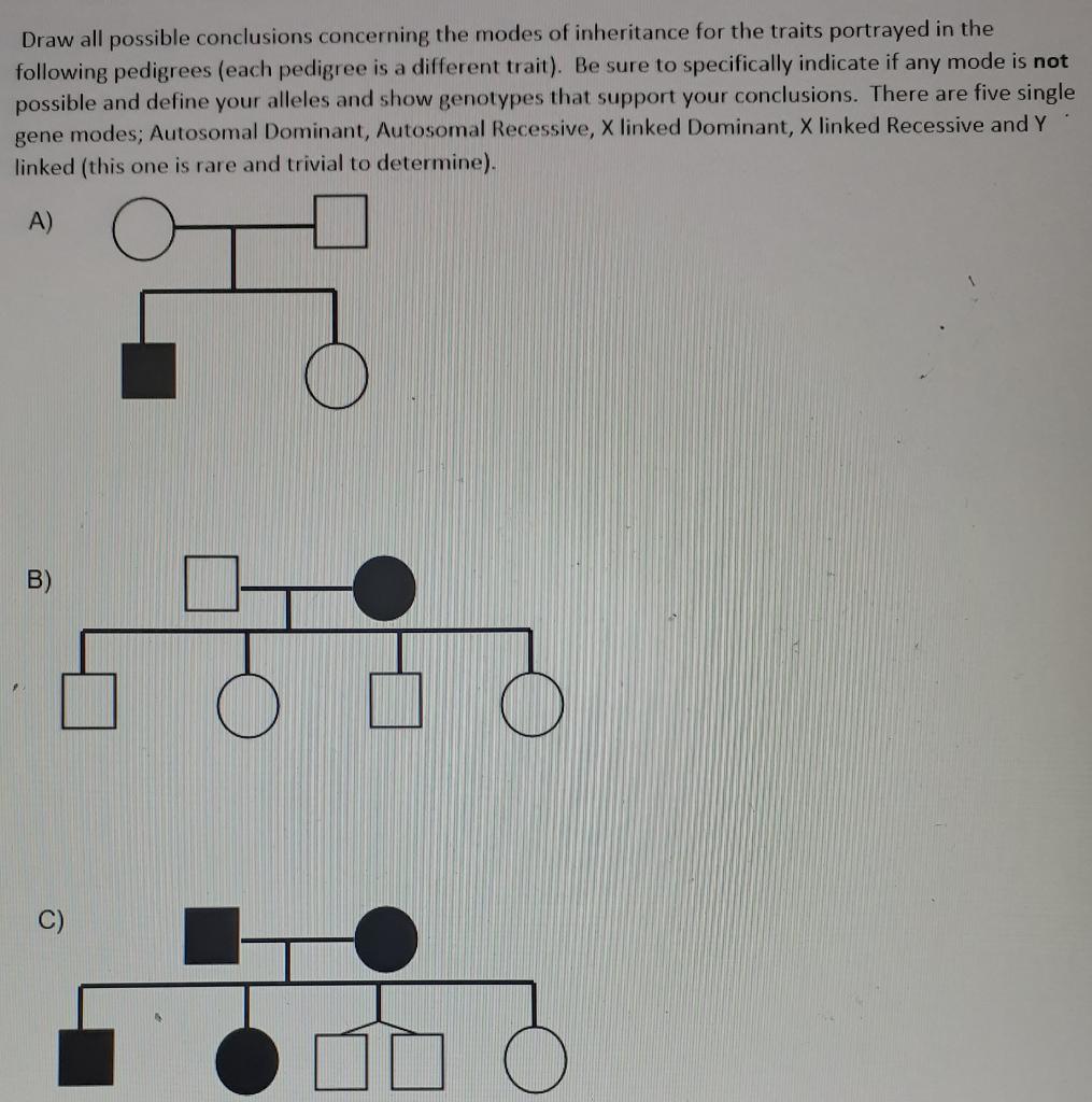 Solved Draw all possible conclusions concerning the modes | Chegg.com