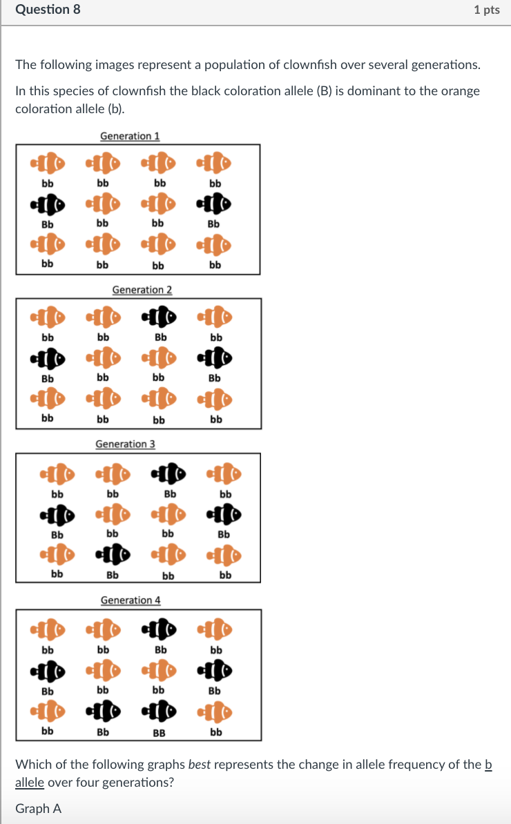 Solved Question 8 1 pts The following images represent a | Chegg.com