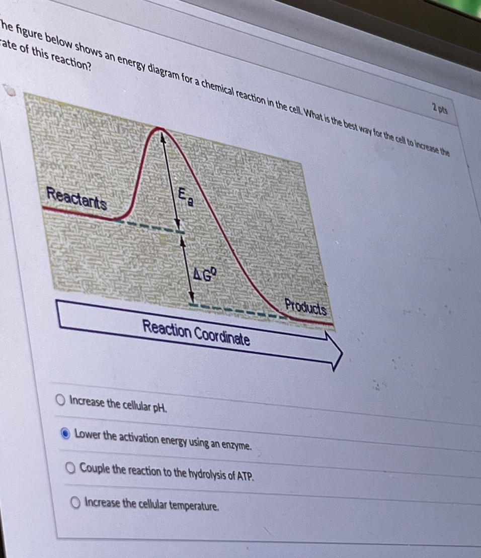 Solved uestion 21 The figure below shows an energy diagram | Chegg.com