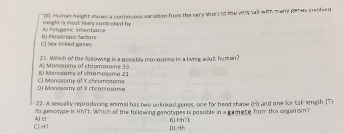 Variation In Human Height