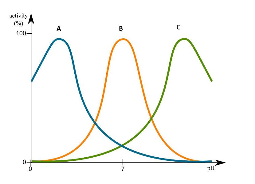 Solved 1. The diagram below shows the activity of different