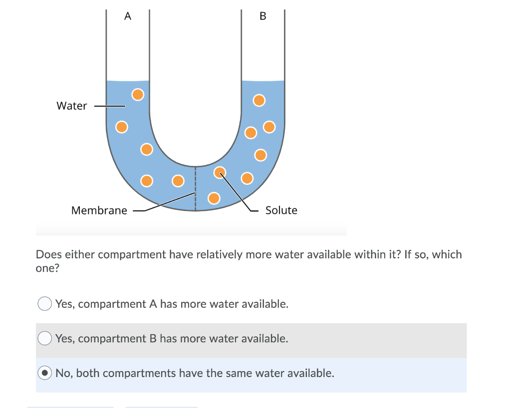 Solved Water Membrane Solute Does either compartment have | Chegg.com