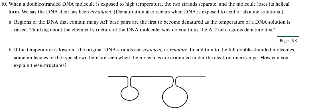 Solved 10 When A Double Stranded Dna Molecule Is Exposed To