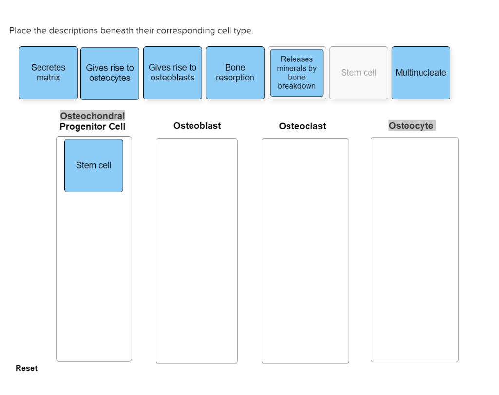 solved-place-the-descriptions-beneath-their-corresponding-chegg