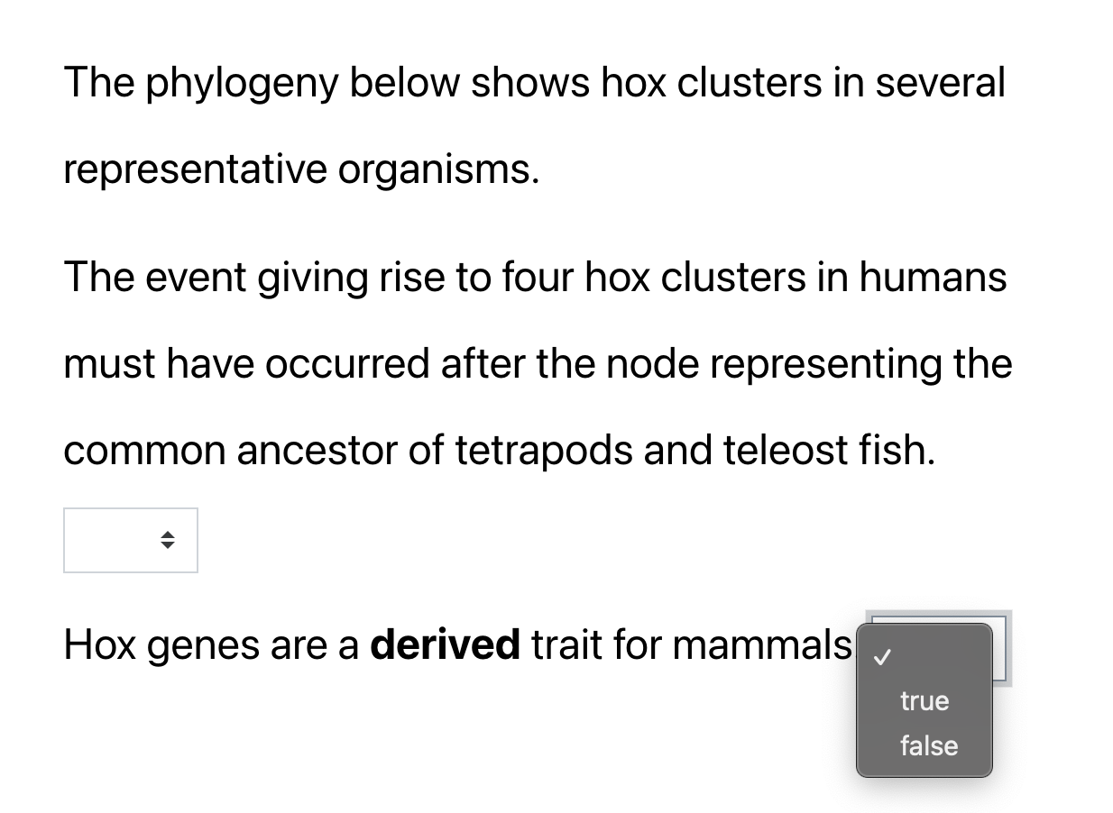 Solved The phylogeny below shows hox clusters in several | Chegg.com