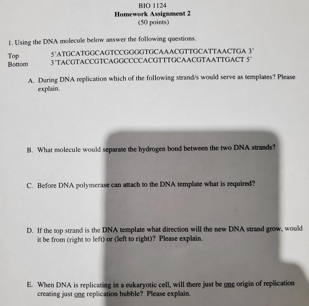 Solved 1. Using the DNA molecule below answer the following | Chegg.com