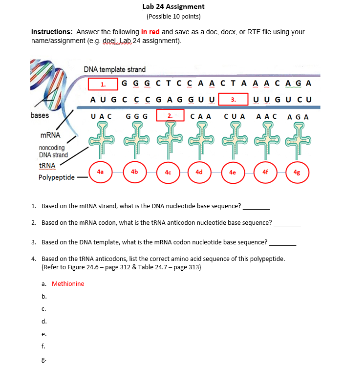 Solved Lab 24 Assignment (Possible 10 points) Instructions: | Chegg.com