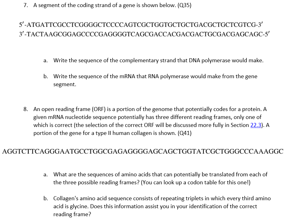 Solved 7. A Segment Of The Coding Strand Of A Gene Is Shown | Chegg.com