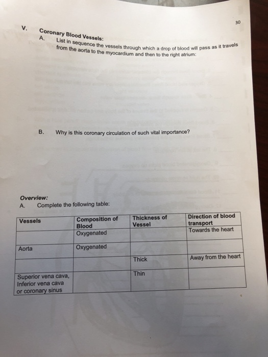 Solved Sheep Heart Dissection HUMAN ANA TOMY and PHYSIOLOGY