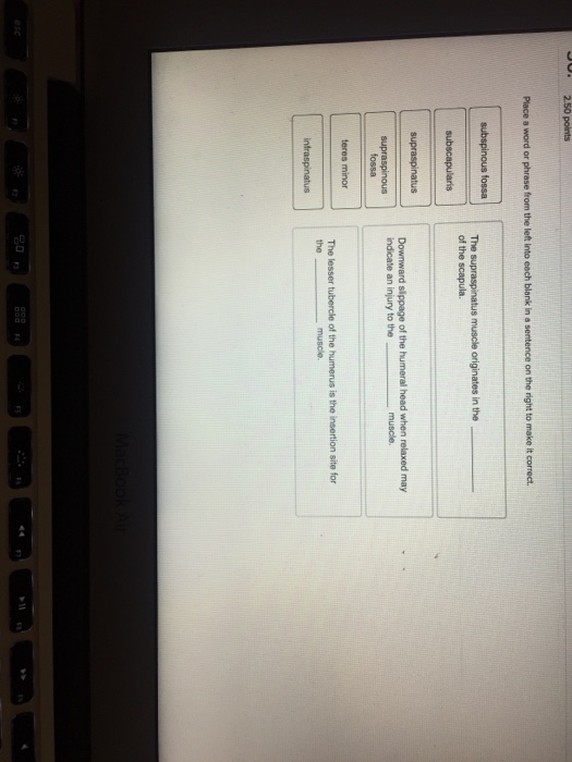 Solved Place a word or phrase from the left into each blank