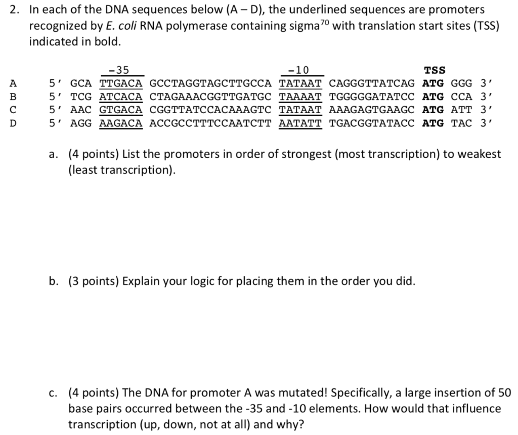 Solved 2. In Each Of The DNA Sequences Below (A -D), The | Chegg.com