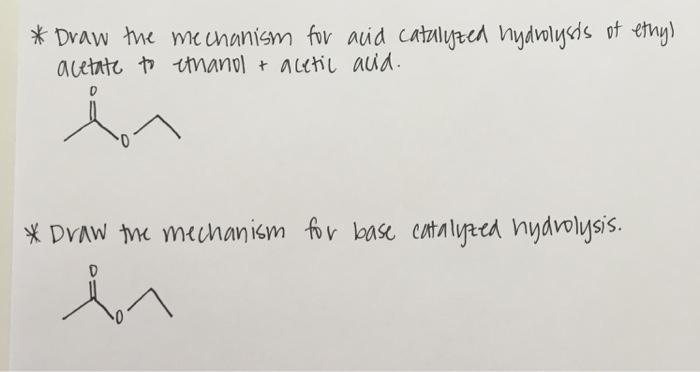 Solved Draw the mechanism for acid catalyzed hydrolysis of | Chegg.com