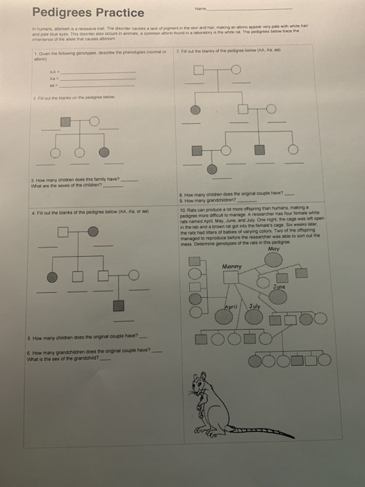 solved-pedigrees-practice-a-common-abino-the-pedgree-3-how-chegg