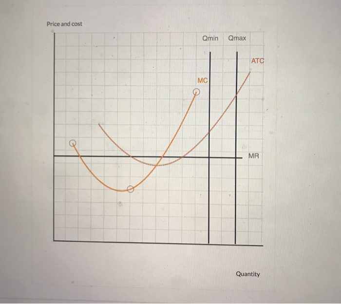 Solved The graph below shows a particular firm's marginal | Chegg.com