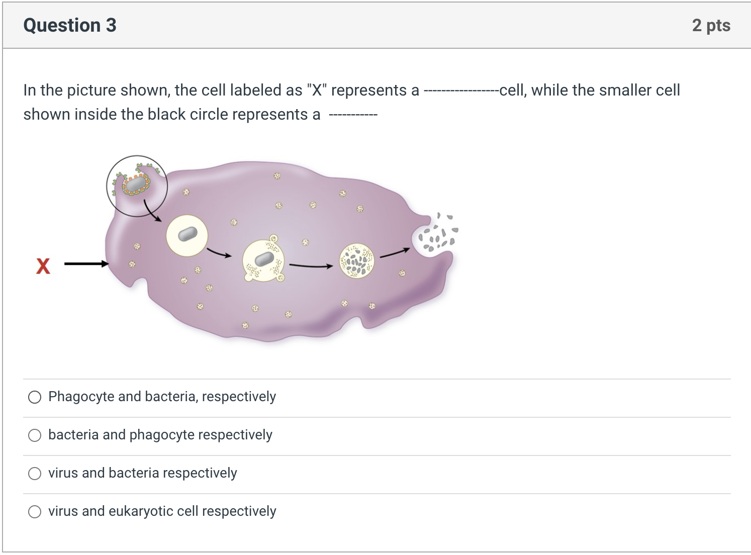 Solved In the picture shown, the cell labeled as \