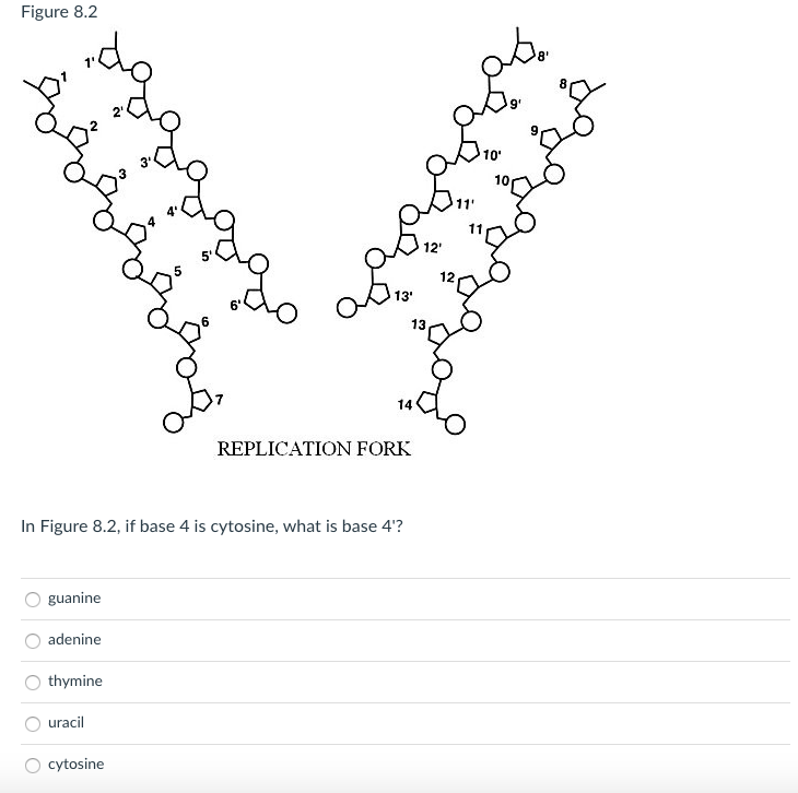 Solved Figure 8 2 10 12 12 13 13 Chegg solved-figure-8-2-10-12-12-13-13-chegg
