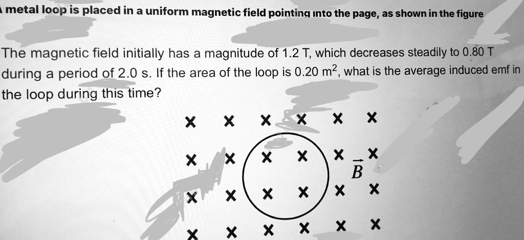 Solved metal loop is placed in a uniform magnetic field | Chegg.com