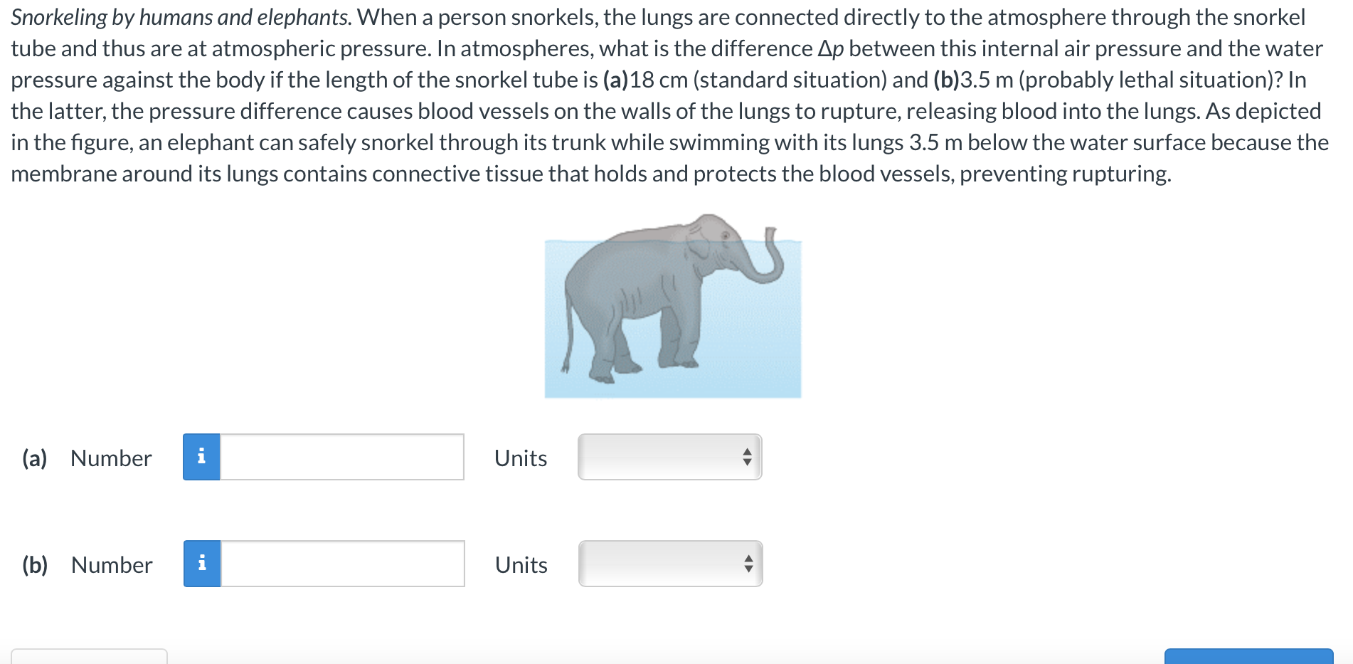 Solved Snorkeling by humans and elephants. When a person | Chegg.com