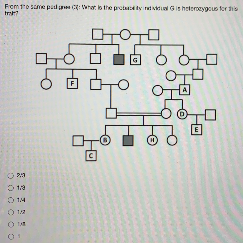 Solved From the same pedigree (3): What is the probability | Chegg.com