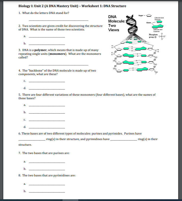 Solved Biology I: Unit 2 (A DNA Mastery Unit) - Worksheet 1: | Chegg.com