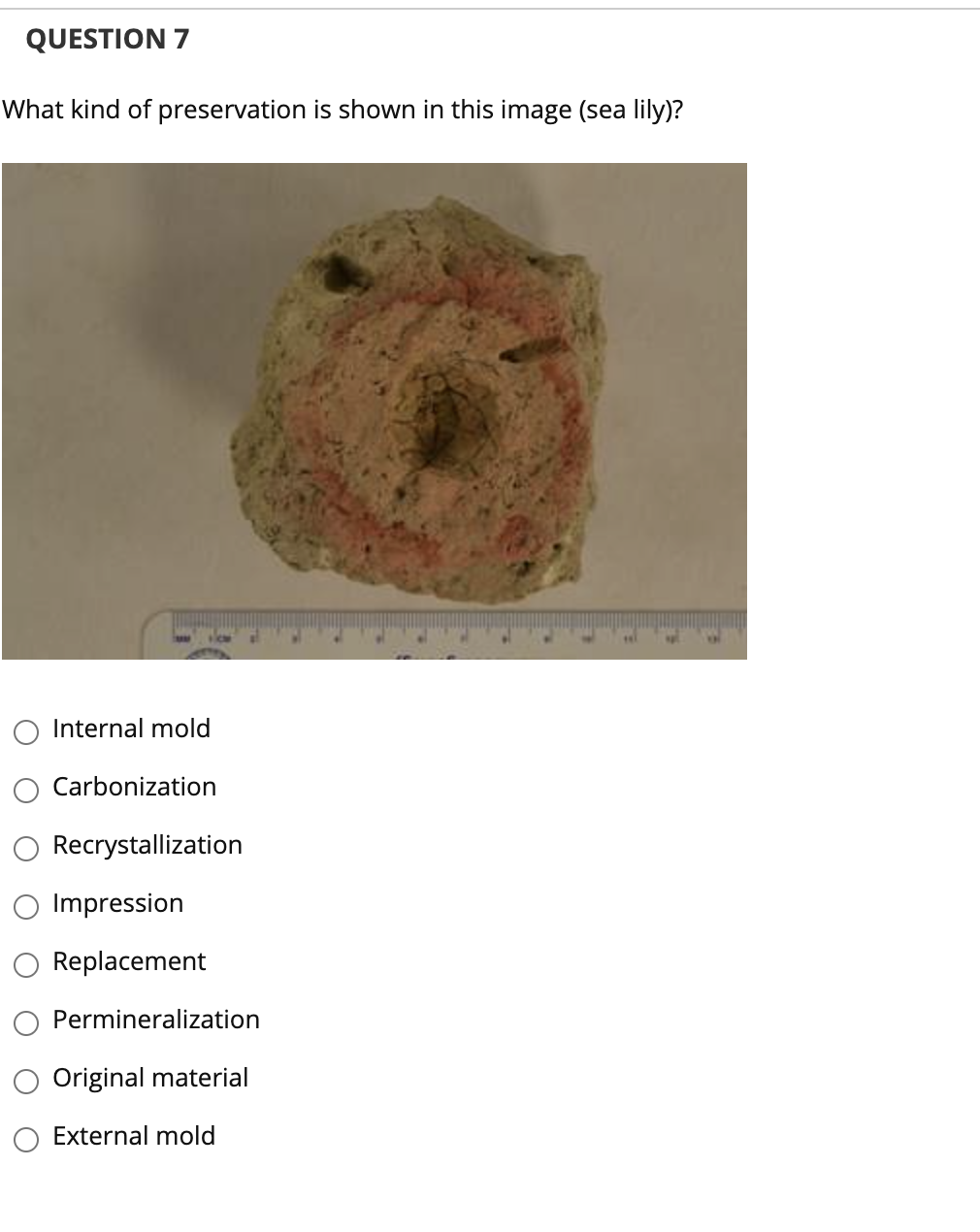 Solved What kind of preservation is shown in this image | Chegg.com