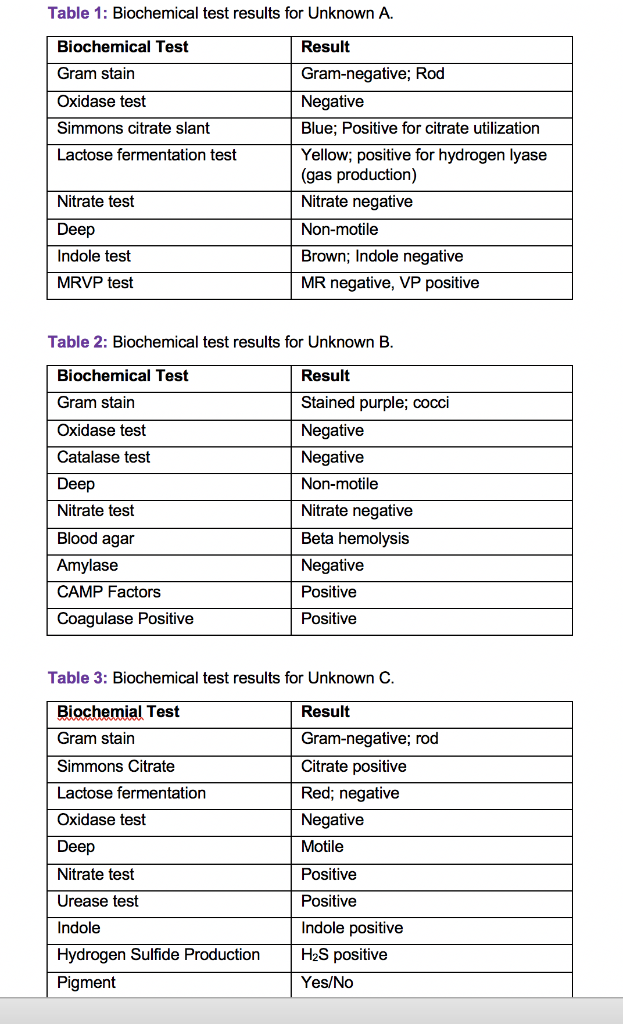 serratia marcescens oxidase test