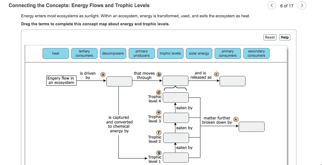 Concept Map Of Energy Flow In An Ecosystem Current Red Tide Florida Map ...