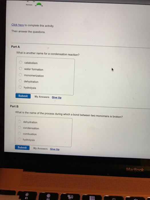 Solved Click Here To Complete This Activity Then Answer The Chegg