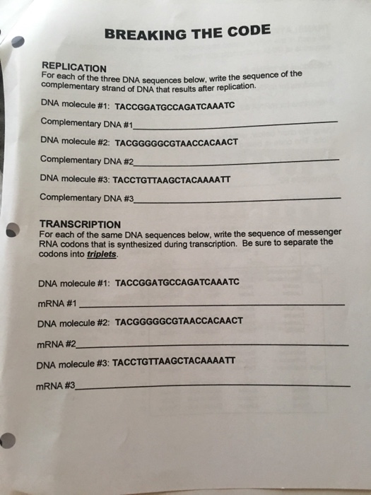 Breaking The Code Worksheet Answers - Escolagersonalvesgui