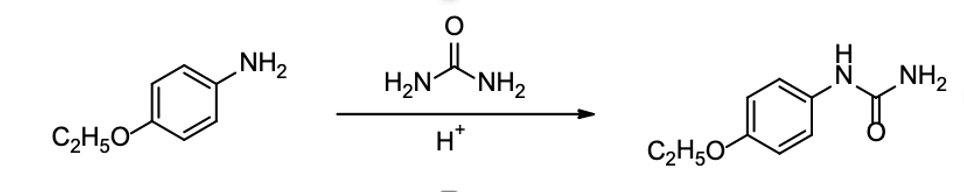 Solved How does the structure of a molecule relate | Chegg.com